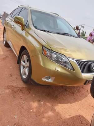 A picture of RX350 2010 First Body