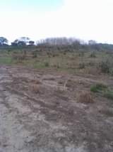 A picture of Shamba linauzwa kibaha mlandizi KILOMETER 2 toka morogoro road Zipo