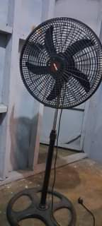 A picture of feni