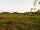 A picture of PLOTS FOR SALE STARTING FROM 2 3 MILLION UGX 50