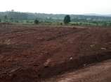 A picture of MOSCOVA Estates is open Located at matugga Bale on matugga