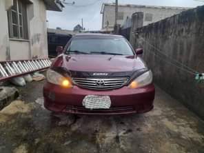 A picture of 08114560910 Serious buyer only is needed to call my number