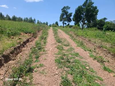 A picture of PLOTS AT AFFORDABLE PRICES