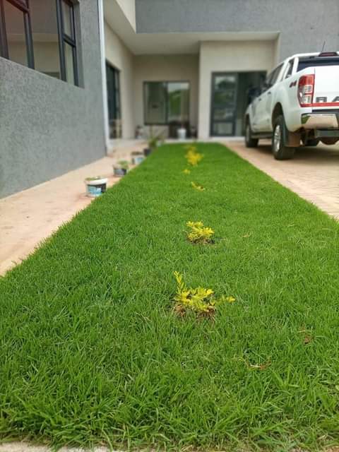 landscaping ssrvices