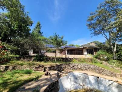 property glen lorne