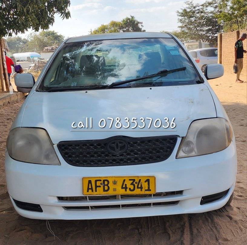 toyota corolla bubble