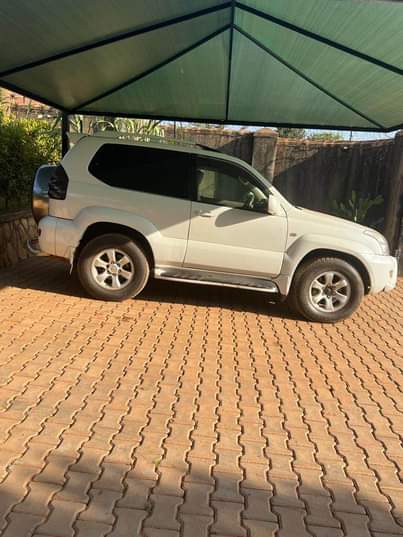A picture of Prado Tx Petro short 30m