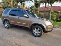 used honda crv