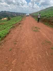 A picture of Wakiso kavumba Kona estate with titles Call watsup 0704775421 0705814256
