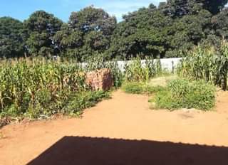 rooms to rent harare