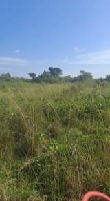 A picture of 