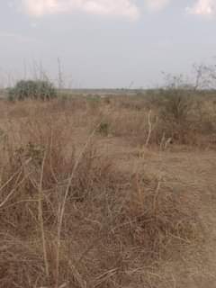 mwembeshi