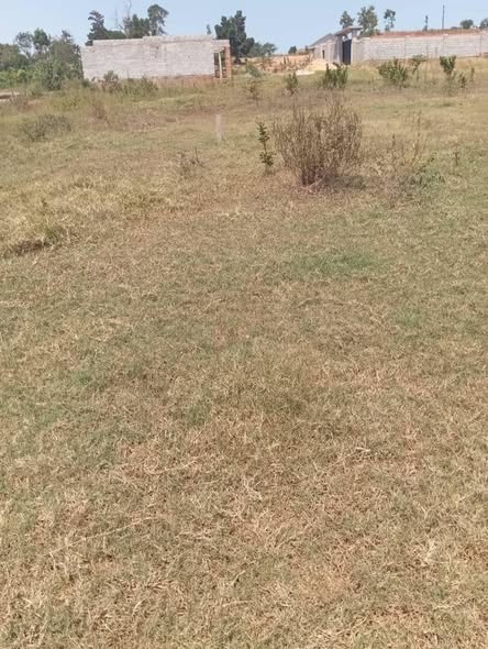 A picture of 5 plots of 100 by 100 at kasangati nangabo