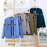 A picture of Kids sweaters