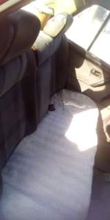 A picture of Jetta
