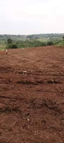 A picture of 50ft X 50ft Residential Plots available on Sale in a