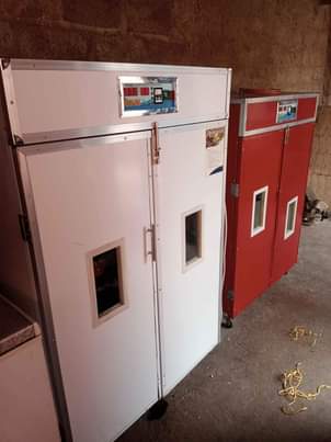 incubator