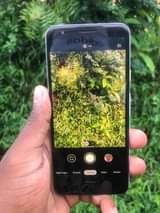A picture of Google pixel 3a