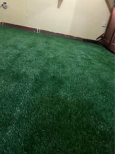 A picture of Artificia grass carpets