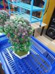 A picture of Artifitural flowwers