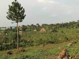 A picture of New site is open located at bombo kalure town Plots