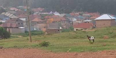 A picture of A plot of land