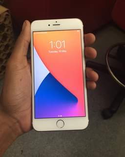 Apple F.