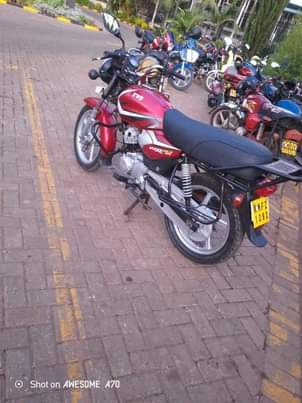 tvs hlx