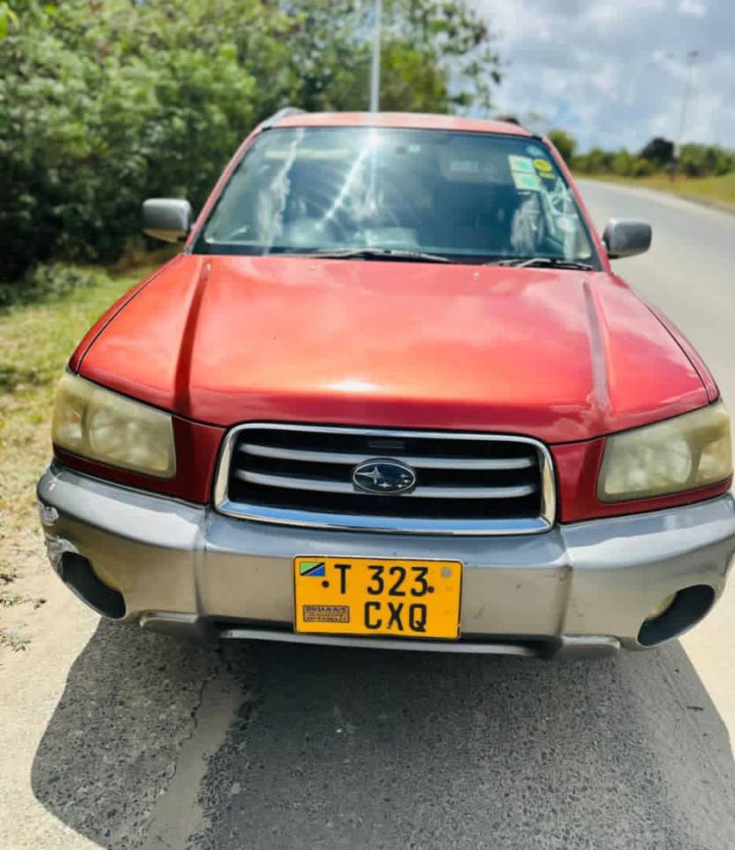 A picture of Subaru