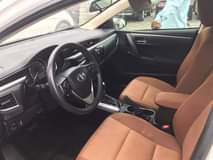 A picture of 2010 Toyota corolla 57thh