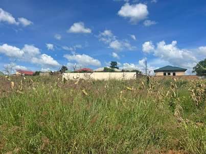 land