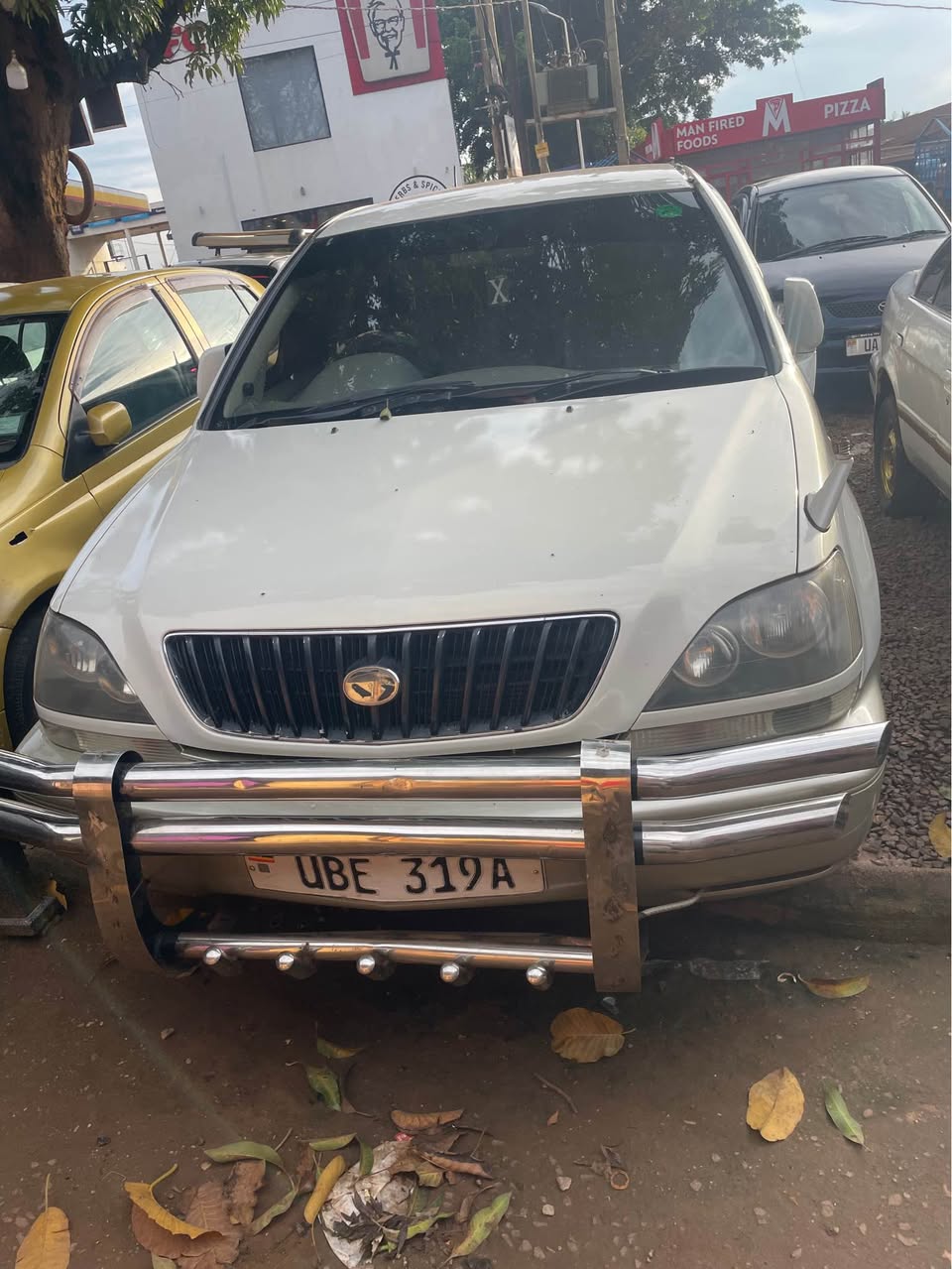 A picture of Toyota Nadia
