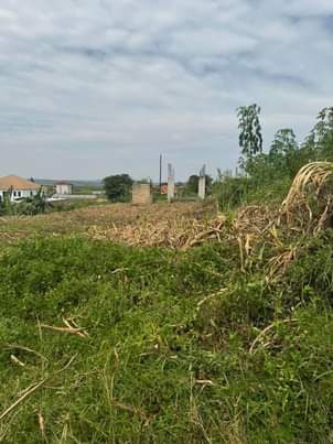 A picture of LAND ON SALE IN ENTEBBE KATABI 50x100 