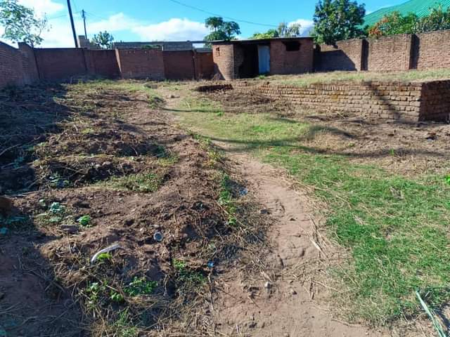 FARMS F.