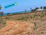 A picture of BONGE MOJA LA BEACH NICE VIEW