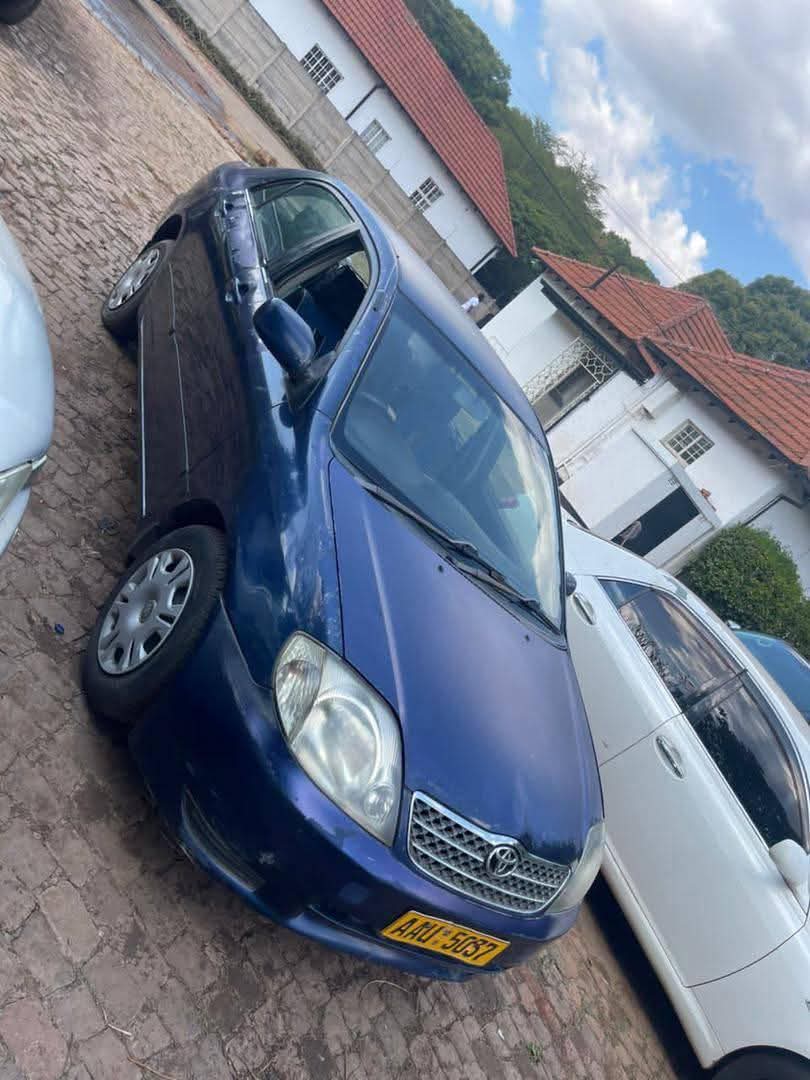 used toyota corolla