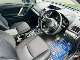A picture of FORESTER NAMBA E NZURI