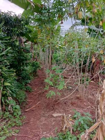 A picture of ANTI MR PROPERTY MANAGEMENT PLOT ON QUICK SALE LOCATED AT