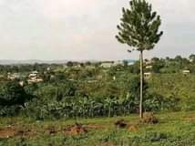 A picture of Bombo kalure town view plots for sale