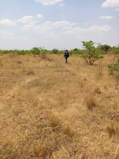 mwembeshi