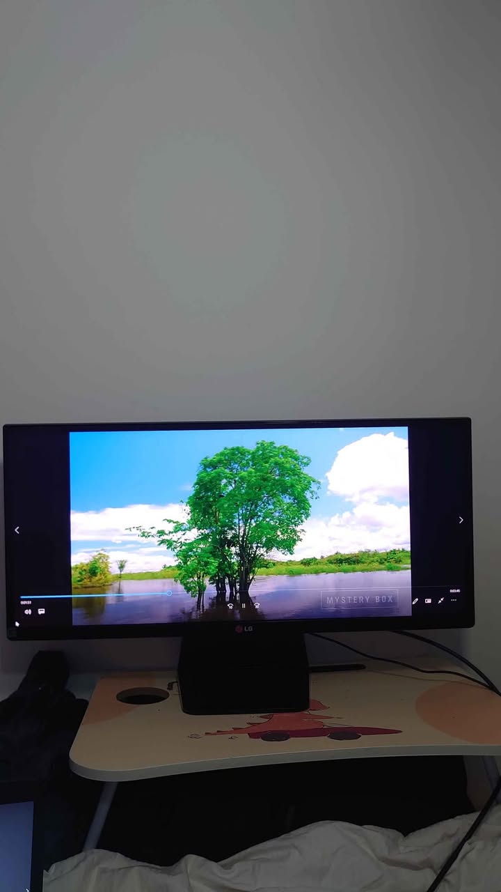 A picture of LG 29 UM65 LED MONITOR 29 inches wide