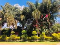 houses for sale