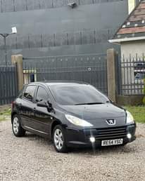 A picture of 2007 PEUGEOT 307