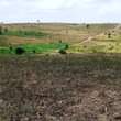 A picture of Plots for sale