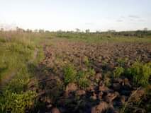 A picture of 0765291521 0679291521 SHAMBA HEKA 10 MWANZOMGUMU CHANIKA