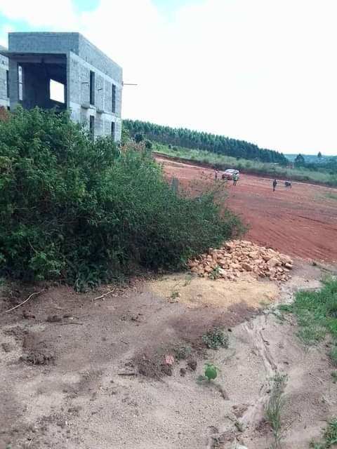 A picture of Land for sale