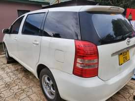 A picture of wish 0767410504