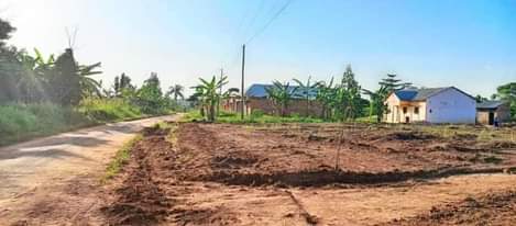 A picture of END OF YEAR DISCOUNT MATUGA KIWEEBWA SITE 50 BY 100FT
