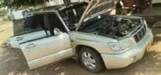 A picture of Subaru forester