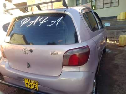 A picture of Vitz